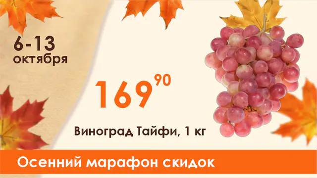 Виноград Тайфи